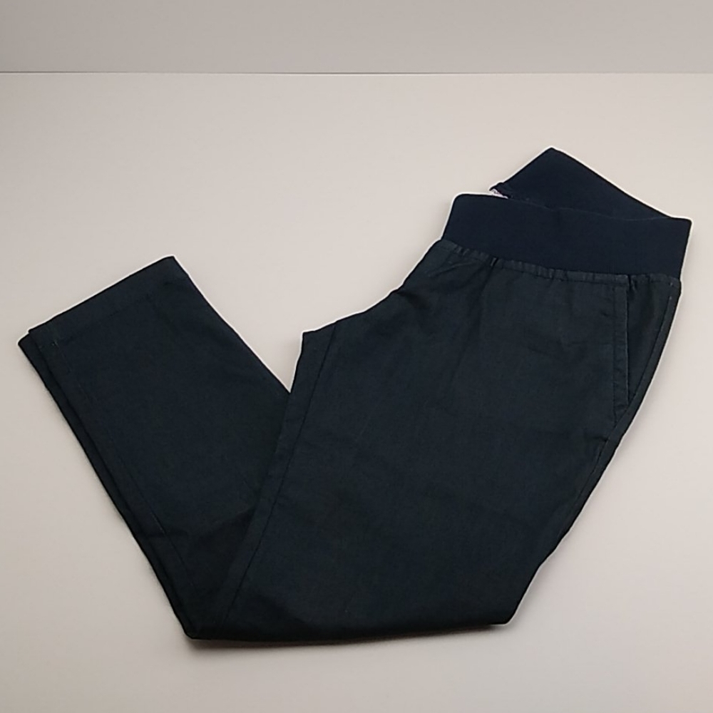 Demi Panel Maternity Pants Liz Lange